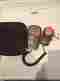 Lx10110bs Lux Meter New